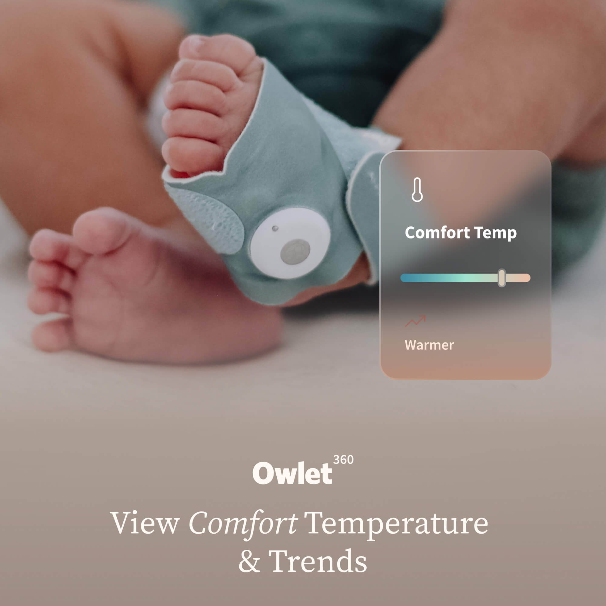 Owlet Owlet360? Annual Plan - Image 4