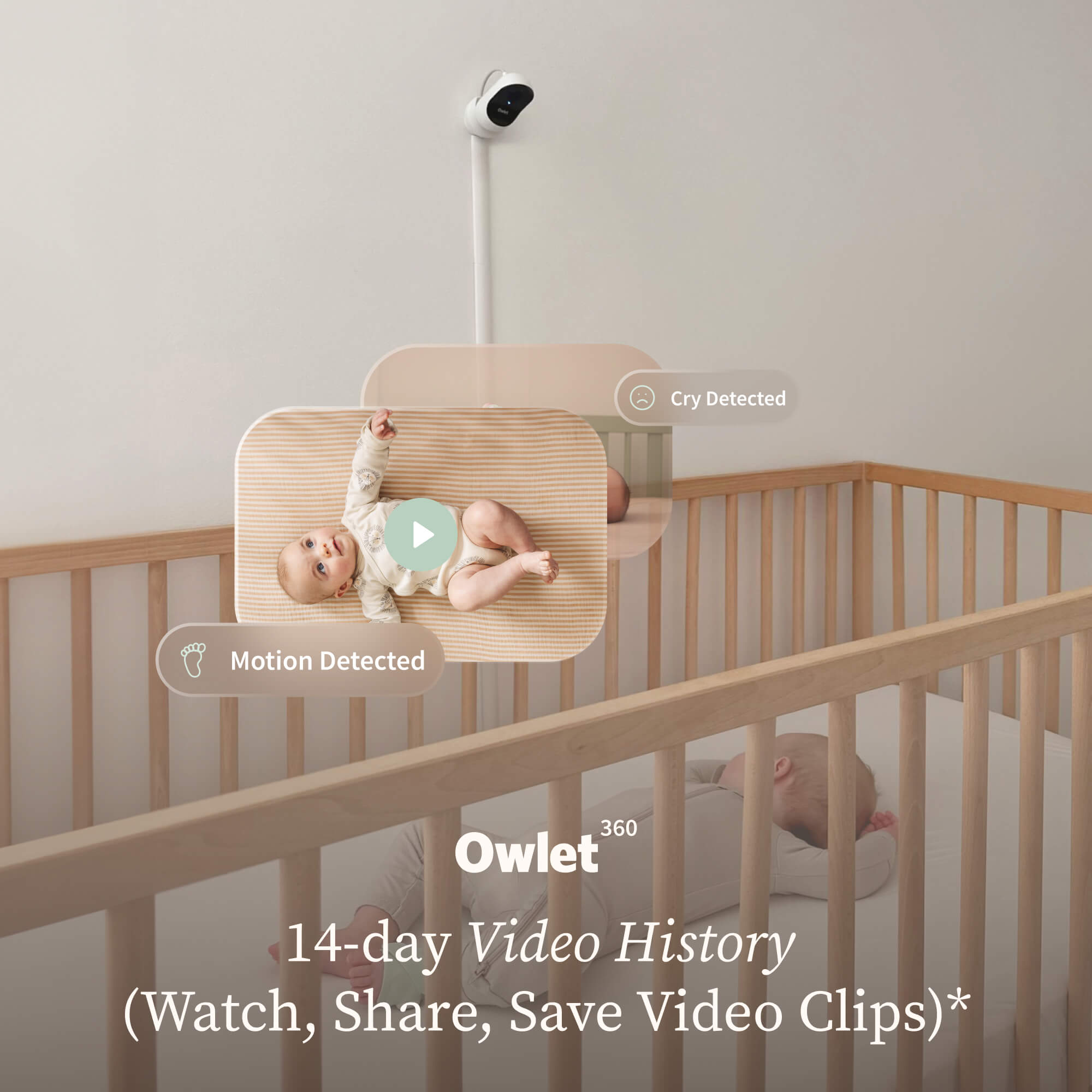 Owlet Owlet360? Annual Plan - Image 8